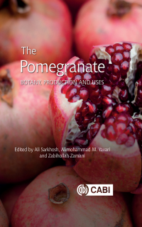Cover image: The Pomegranate 1st edition 9781789240764