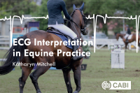 Cover image: ECG Interpretation in Equine Practice 9781789240825
