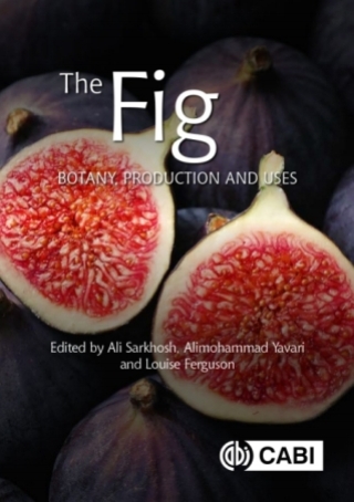 Cover image: The Fig 9781789242881