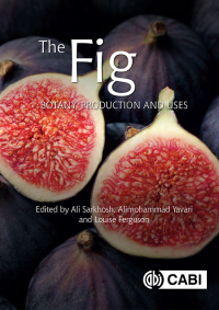 Cover image: The Fig 9781789242881