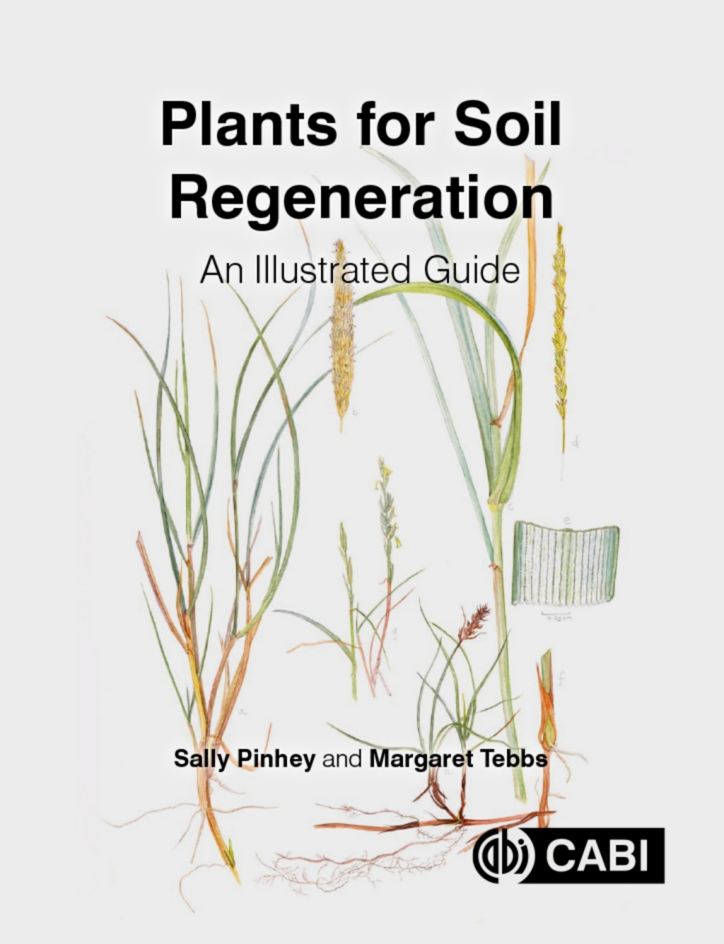 Plants for Soil Regeneration An Illustrated Guide
