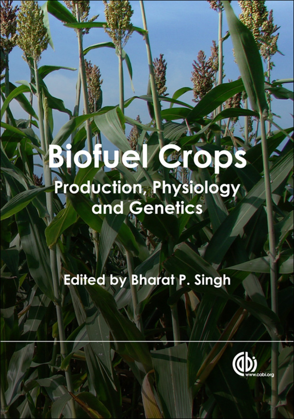 Biofuel Crops Production, Physiology and Genetics 1st Edition