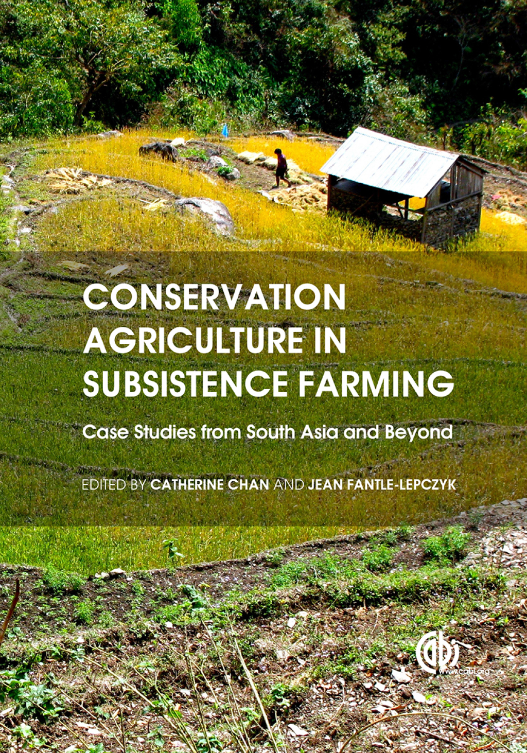 Conservation Agriculture in Subsistence Farming Case Studies from South Asia and Beyond 1st Edition