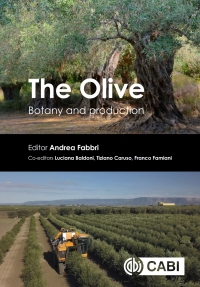 Cover image: The Olive 9781789247336