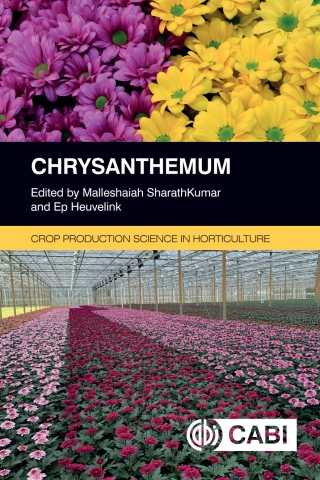 Cover image: Chrysanthemum 9781789248265
