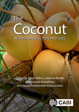 Cover image: The Coconut 9781789249712