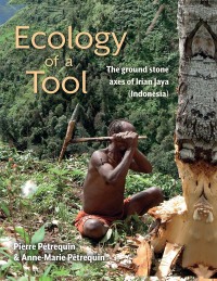 Imagen de portada: Ecology of a Tool 9781789253863