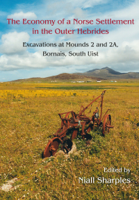 صورة الغلاف: The Economy of a Norse Settlement in the Outer Hebrides 1st edition 9781789255386