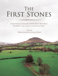 Titelbild: The First Stones 9781789257397