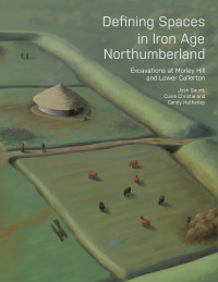 صورة الغلاف: Defining Spaces in Iron Age Northumberland 9781789258561