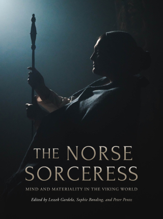 Titelbild: The Norse Sorceress 9781789259537