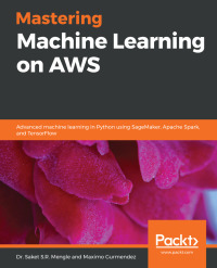 Cover image: Mastering Machine Learning on AWS 1st edition 9781789349795