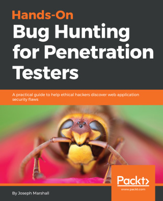 表紙画像: Hands-On Bug Hunting for Penetration Testers 1st edition 9781789344202