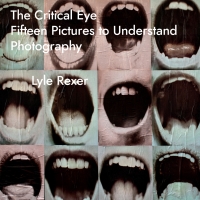 Cover image: The Critical Eye 1st edition 9781783209842