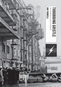 Cover image: Throbbing Gristle 1st edition 9781789388299