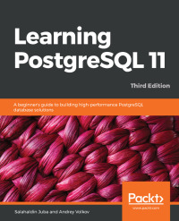 Cover image: Learning PostgreSQL 11 3rd edition 9781789535464