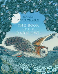 صورة الغلاف: The Book of the Barn Owl 1st edition 9781803289335