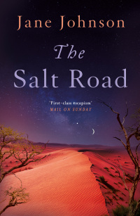 Cover image: The Salt Road 1st edition 9781789545272