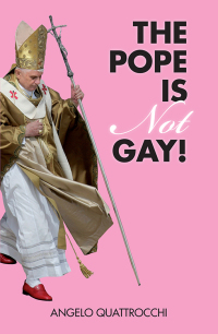 Imagen de portada: The Pope Is Not Gay! 9781844674749