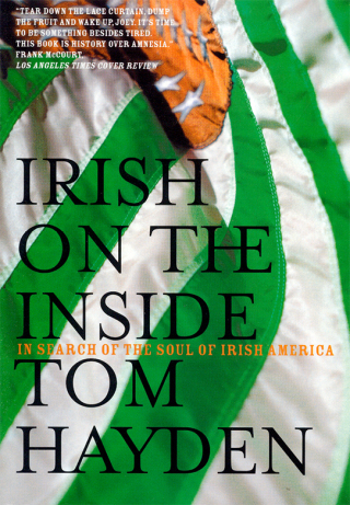Cover image: Irish on the Inside 9781859844779