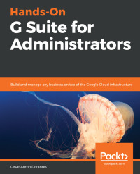 Cover image: Hands-On G Suite for Administrators 1st edition 9781789613018