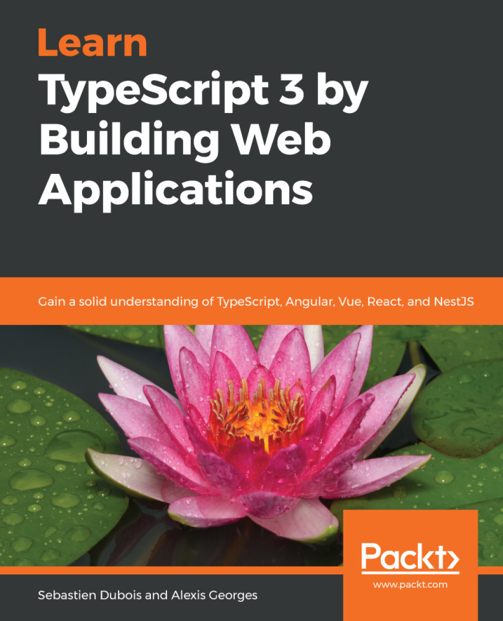 Learn TypeScript 3 by Building Web Applications Gain a solid understanding of TypeScript, Angular, Vue, React, and NestJS 1st Edition