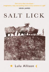 Cover image: Salt Lick 9781789651317
