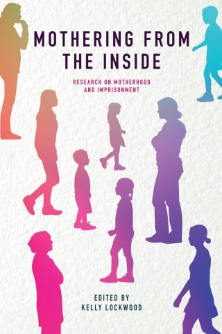 Cover image: Mothering from the Inside 9781789733440