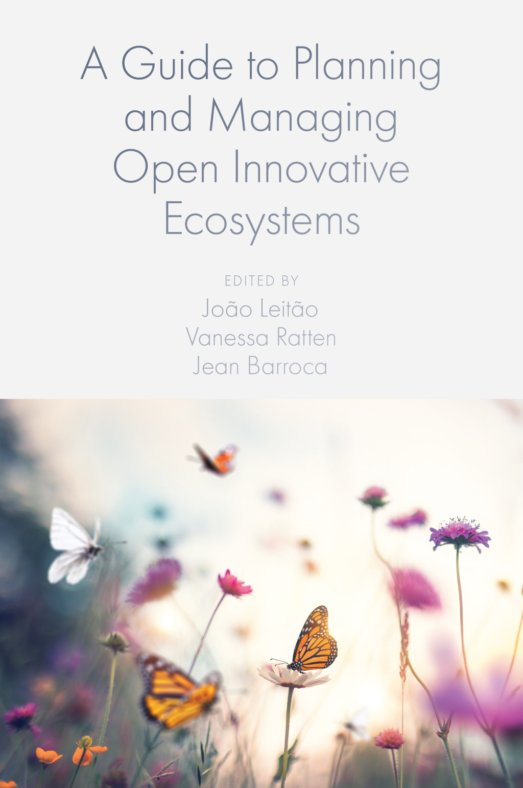 A Guide to Planning and Managing Open Innovative Ecosystems 1st Edition