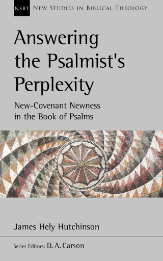 Cover image: Answering the Psalmist's Perplexity 9781789740981