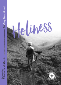 Cover image: Holiness: Food for the Journey 1st edition 9781789741964