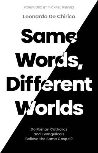 Cover image: Same Words, Different Worlds 9781789743609