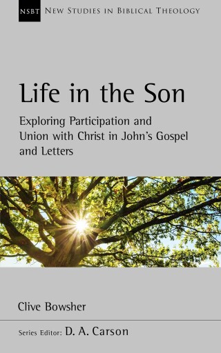 表紙画像: Life in the Son 9781789744293