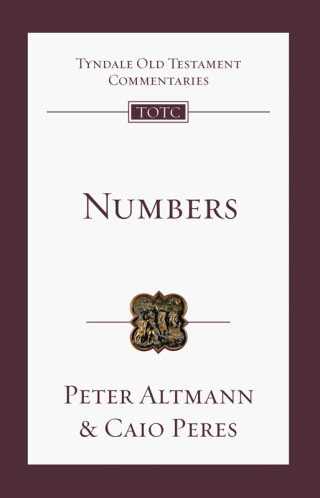 Cover image: Numbers 9781789745245