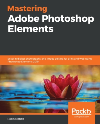 Omslagafbeelding: Mastering Adobe Photoshop Elements 1st edition 9781789808155