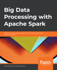 Imagen de portada: Big Data Processing with Apache Spark 1st edition 9781789808810