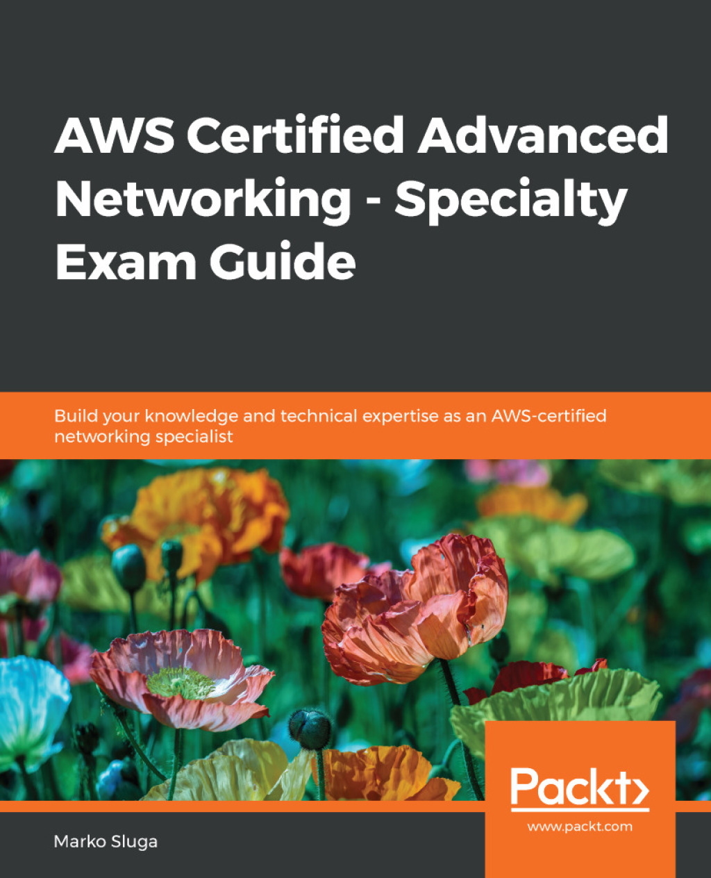 AWS Certified Advanced Networking – Specialty Exam Guide Build your knowledge and technical expertise as an AWS-certified networking specialist 1st Edition