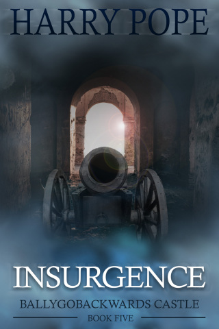 Imagen de portada: Insurgence 1st edition 9781789825121