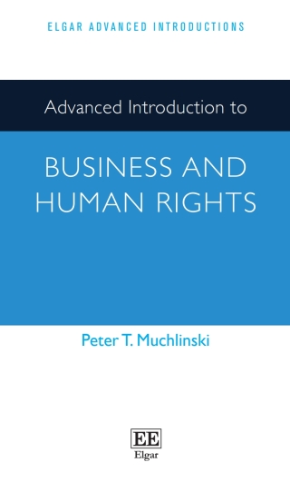 Cover image: Advanced Introduction to Business and Human Rights 1st edition 9781789901276