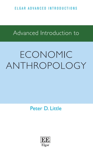 Cover image: Advanced Introduction to Economic Anthropology 1st edition 9781789902709