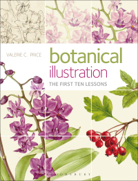 صورة الغلاف: Botanical Illustration 1st edition 9781912217151