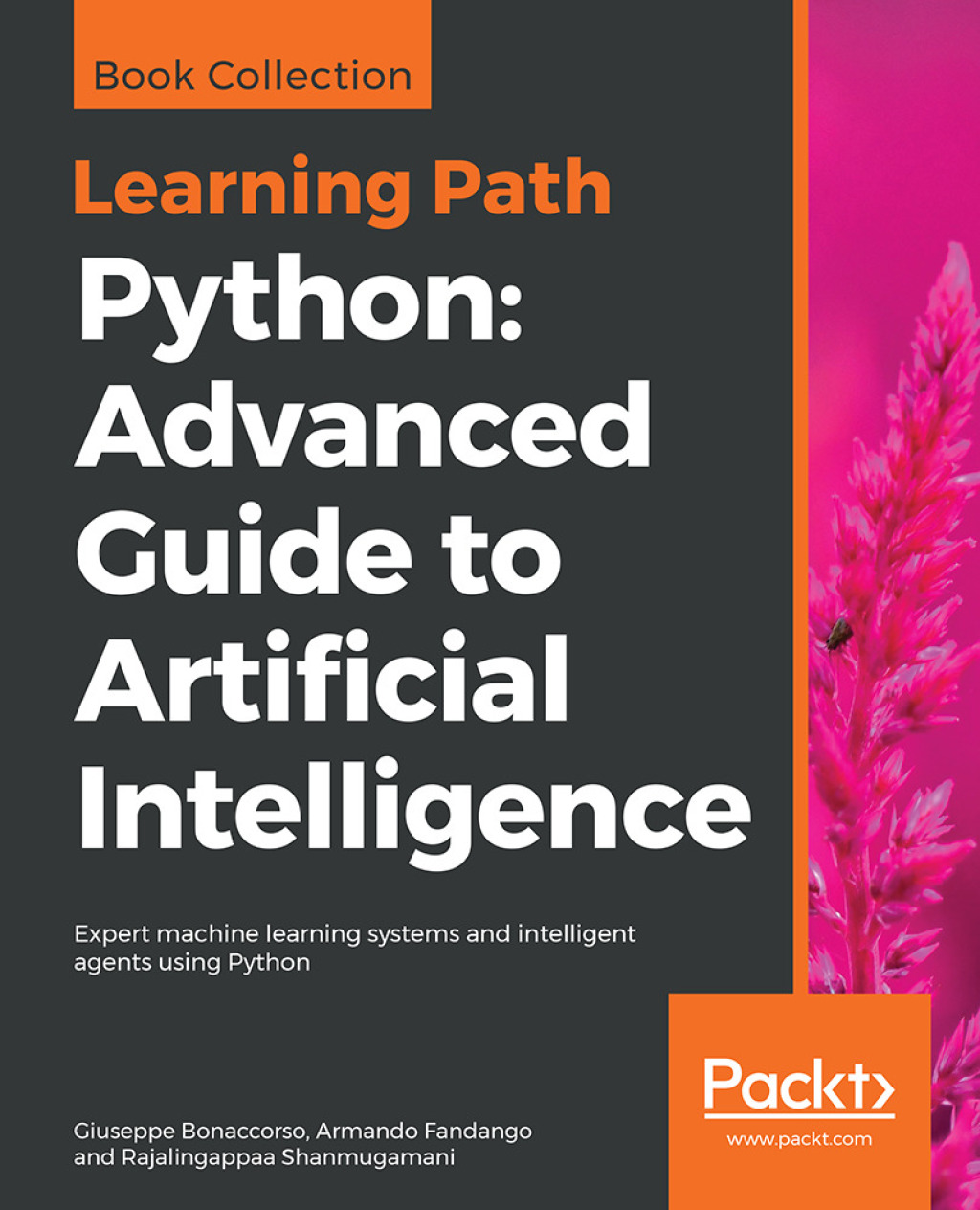 Python: Advanced Guide to Artificial Intelligence Expert machine learning systems and intelligent agents using Python 1st Edition