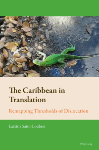 表紙画像: The Caribbean in Translation 1st edition 9781789971989