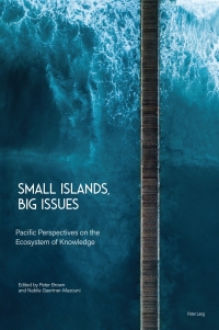 Cover image: Small Islands, Big Issues 1st edition 9781789977721