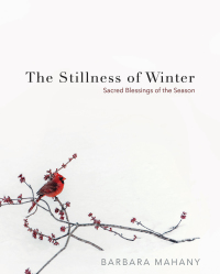 Imagen de portada: The Stillness of Winter 9781791007553