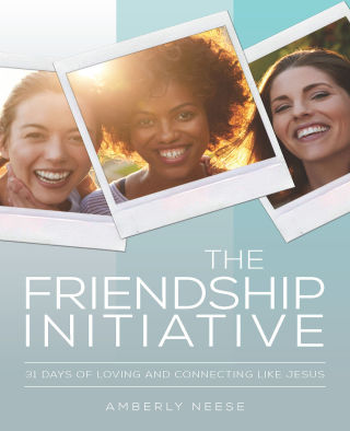 Cover image: The Friendship Initiative 9781791015916