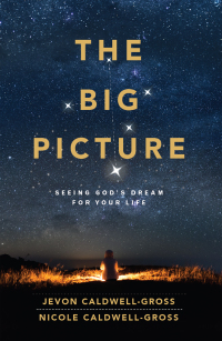 Cover image: The Big Picture 9781791025953