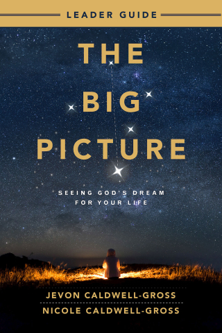 Cover image: The Big Picture Leader Guide 9781791025977