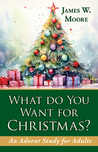 Cover image: What Do You Want for Christmas? 9781791040918