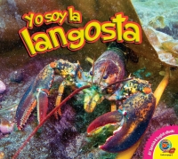 Cover image: La langosta 1st edition 9781791101749